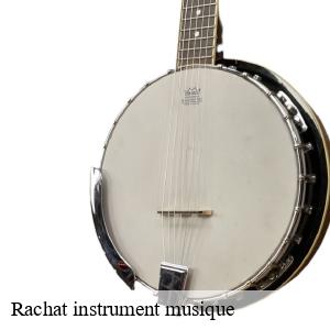 Rachat instrument musique 82 Tarn-et-Garonne JD Antiquaire